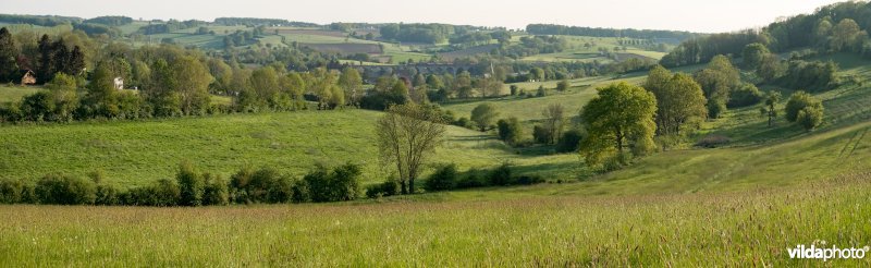 Landschap