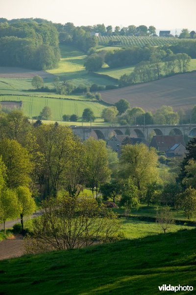 Landschap