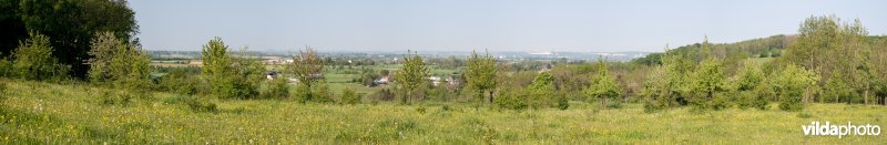 Landschap