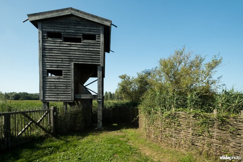 Vogelkijktoren