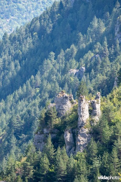 Gorges du Tarnon