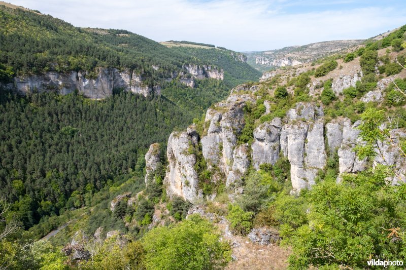 Gorges de la Jonte