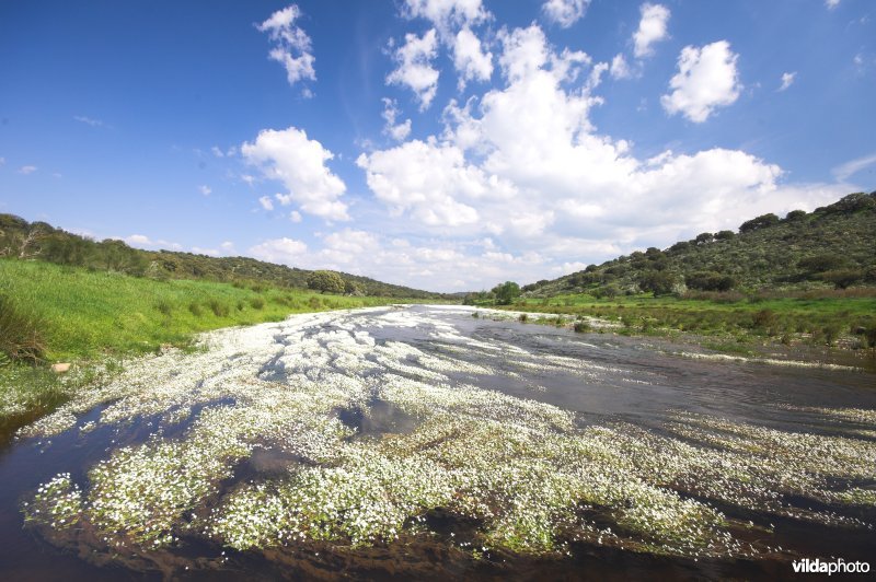 Rivier in Extremadura