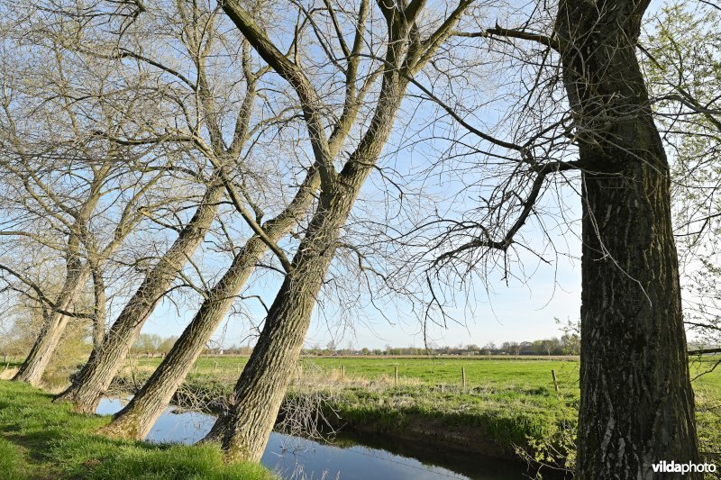 Vallei van de Oude Kale