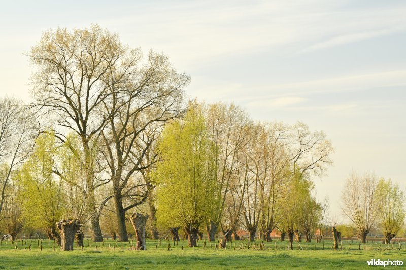 Vallei van de Oude Kale