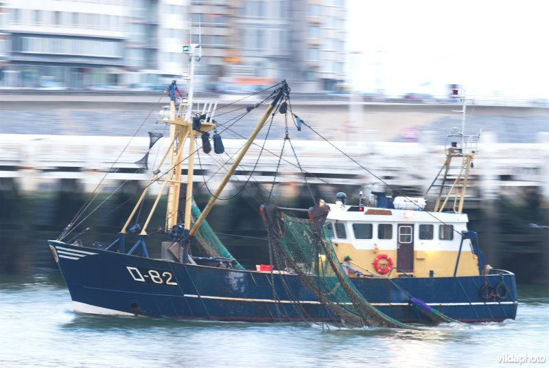 Vissersboot in de Oostendse haven