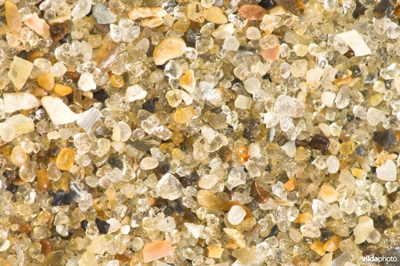 Zandkorrels van dichtbij