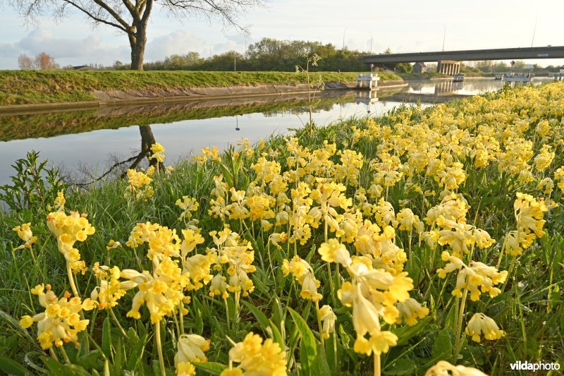 Kanaal Nieuwpoort-Duinkerke