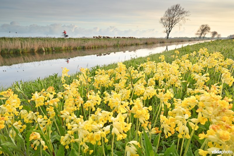 Kanaal Nieuwpoort-Duinkerke