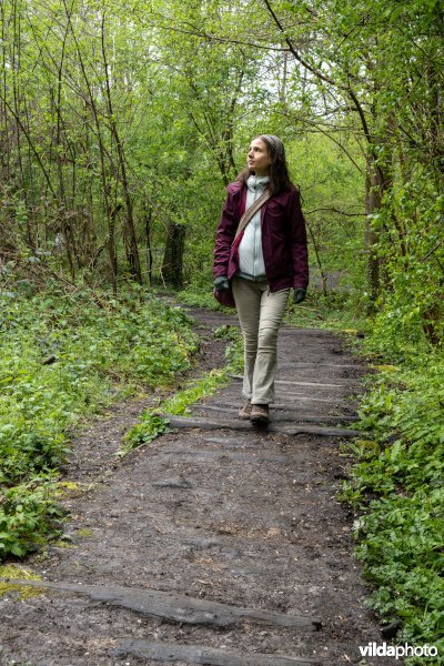 Wandelen in bos t'Ename