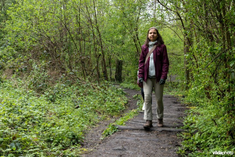 Wandelen in bos t'Ename