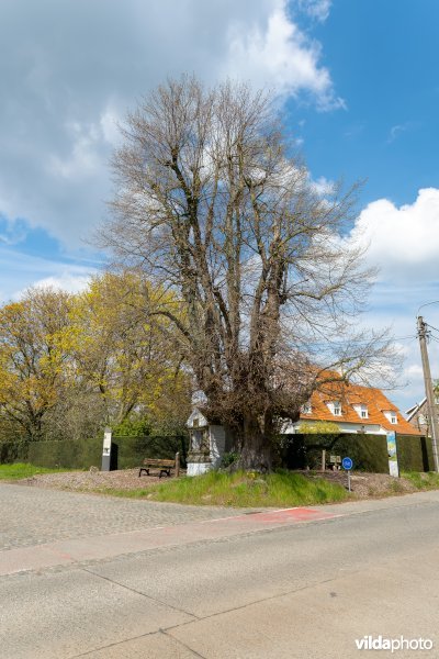 Mariakapelletje van Issegem