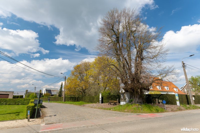 Mariakapelletje van Issegem