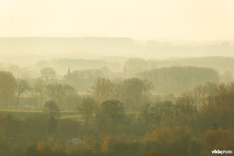 Zicht op de Vlaamse Ardennen