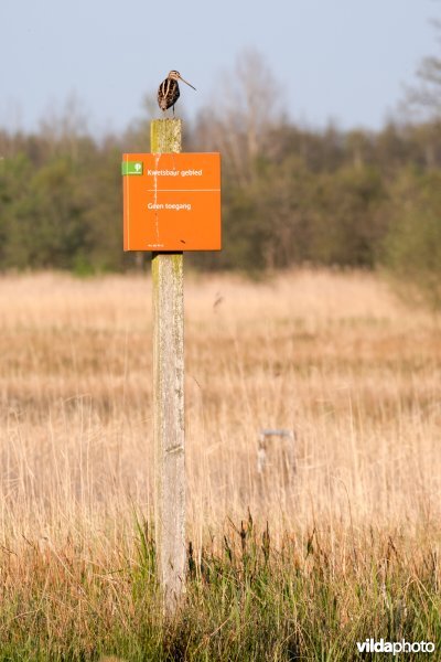 Watersnip op bordje in natuurgebied