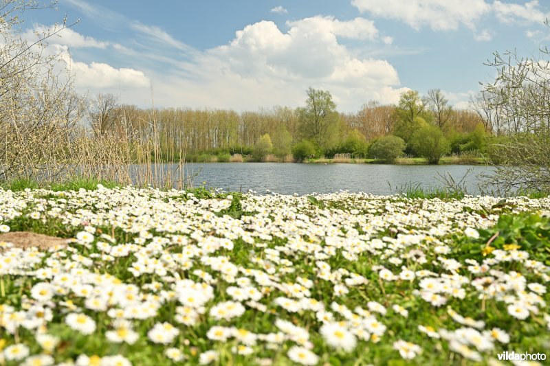 Provinciaal Domein De Gavers Geraardsbergen