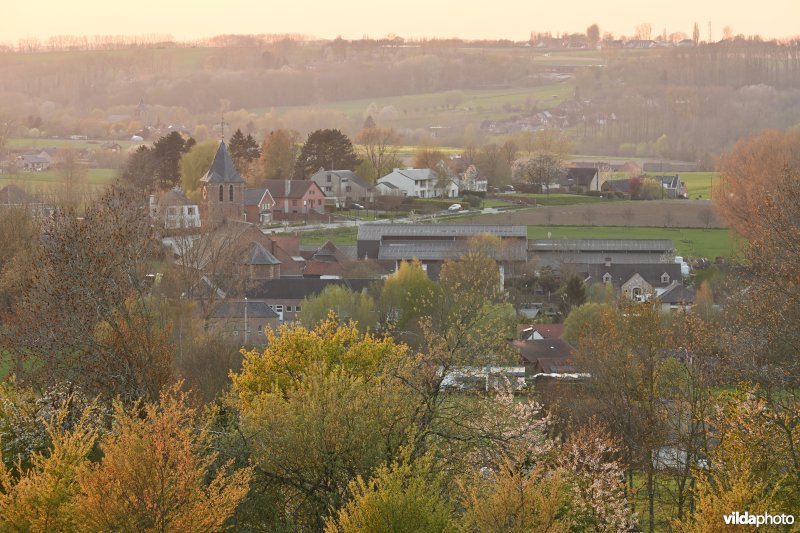 Schorisse