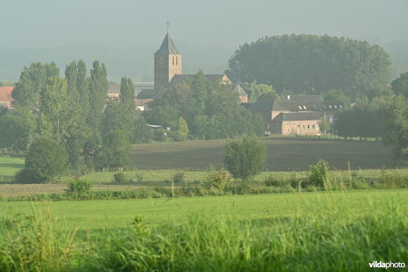 Schorisse