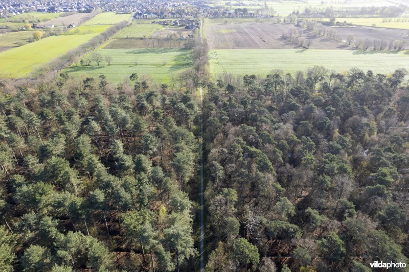 luchtfoto van het Provinciaal natuurdomein Hospicebossen