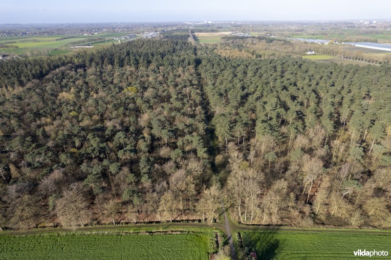 luchtfoto van het Provinciaal natuurdomein Hospicebossen