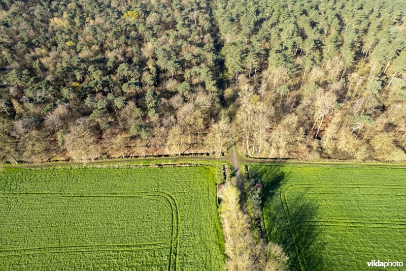 luchtfoto van het Provinciaal natuurdomein Hospicebossen