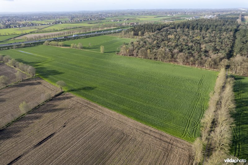 luchtfoto van het Provinciaal natuurdomein Hospicebossen