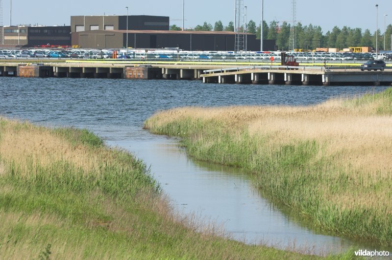 Achterhaven van Zeebrugge