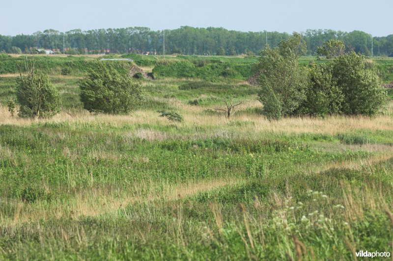 Achterhaven van Zeebrugge