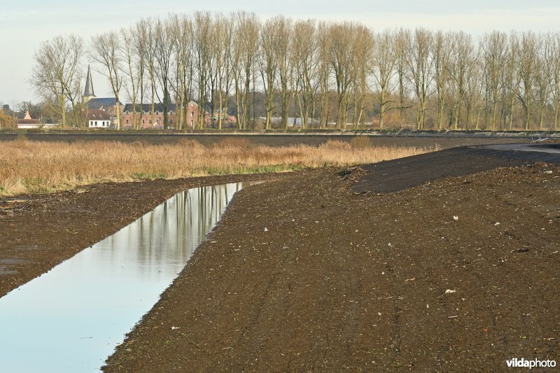 Vlassenbroekse Polder 