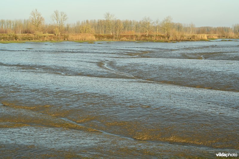 Groot Schoor in Hamme