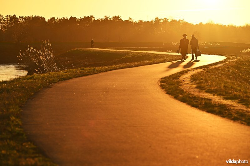 Polder van Lier