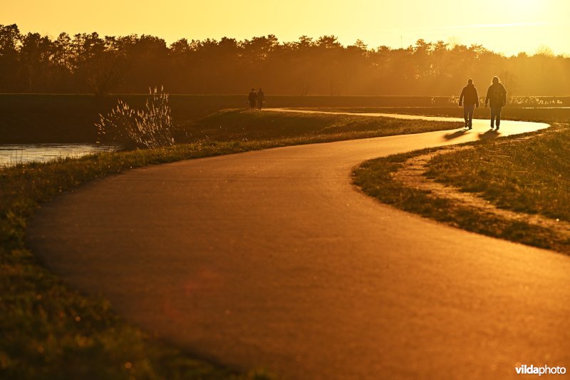 Polder van Lier