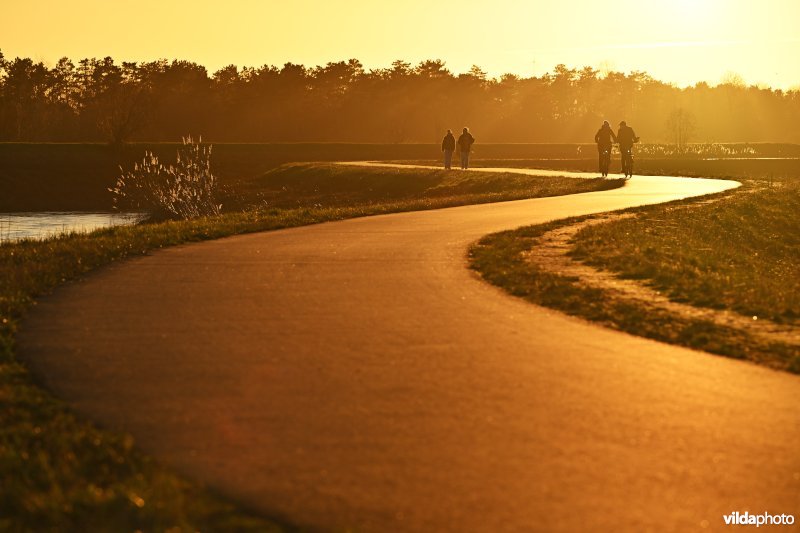 Polder van Lier