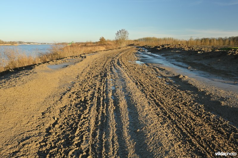 Groot Schoor in Bornem (R)