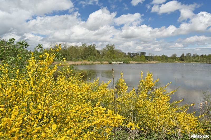 Natuurreservaat Straalmolen 