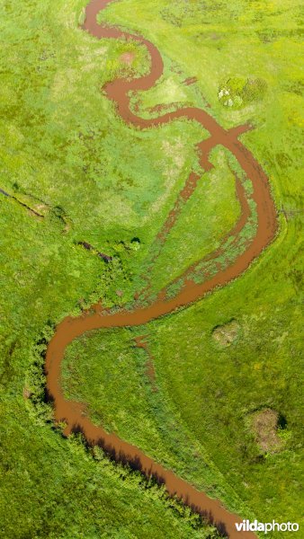 Zwarte Beek meandert door de vallei