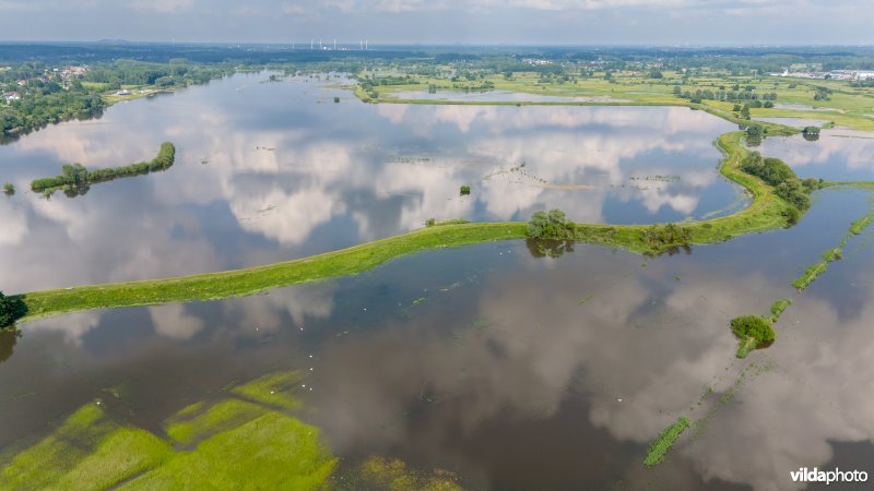 Wachtbekken rond het Schulensmeer is deels gevuld door overvloedige neerslag
