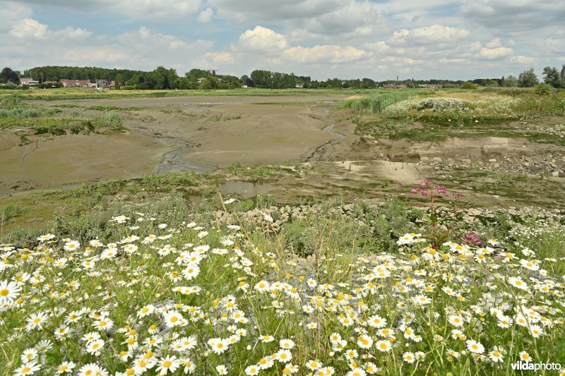 Klein Broek
