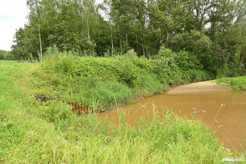 Demervallei: meander 23  