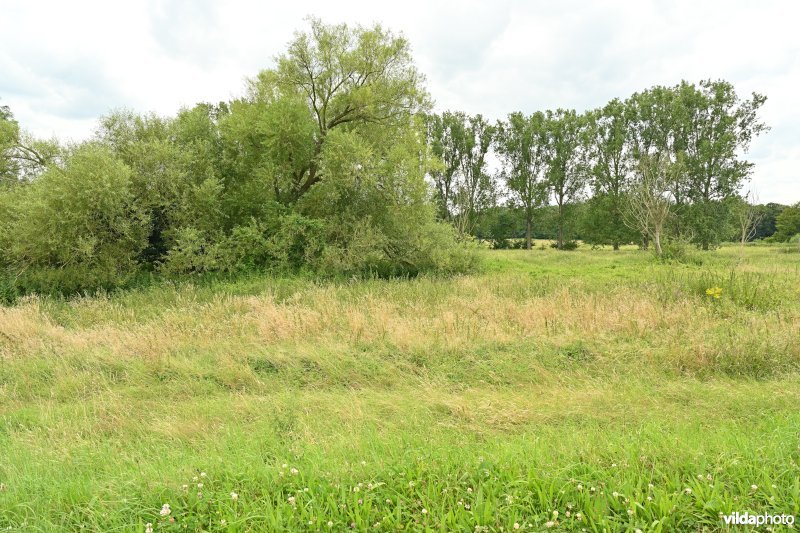 Demervallei: Kokermeanders 