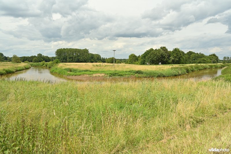 Demervallei: Meanders van Nieuwland (R)