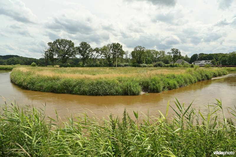 Demervallei: Meanders van Nieuwland