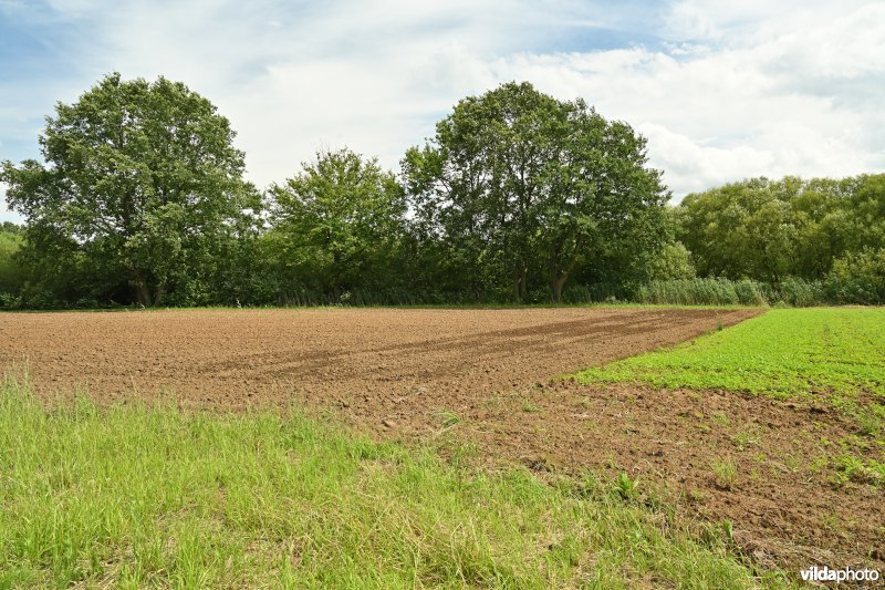 Demervallei: Heuvels Laakvallei 
