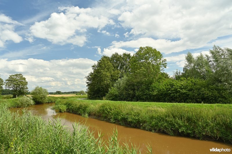 Demervallei: Langdorp