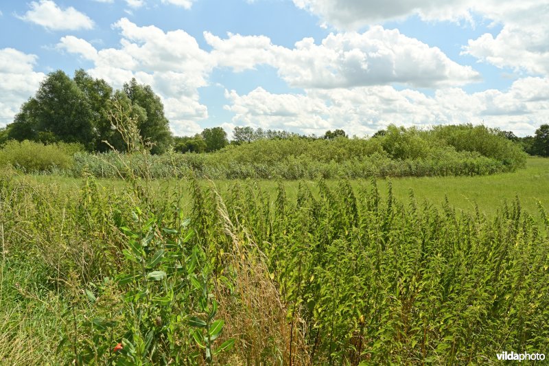 Demervallei: monding Laarbeek