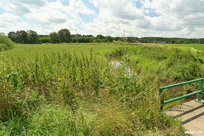 Demervallei: monding Laarbeek 