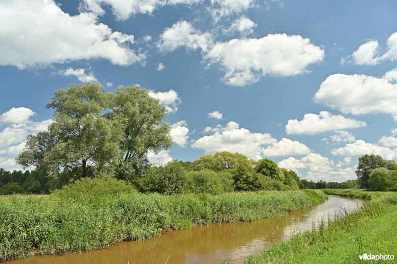 Demervallei: Rommelaar