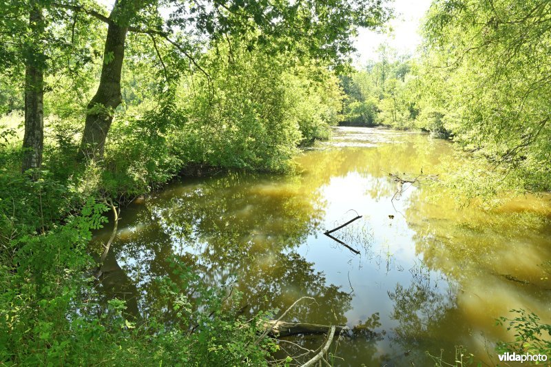 Demervallei: Molenstedebroek