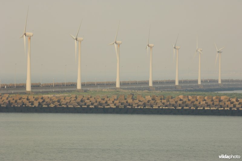 Windmolens in de voorhaven van Zeebrugge