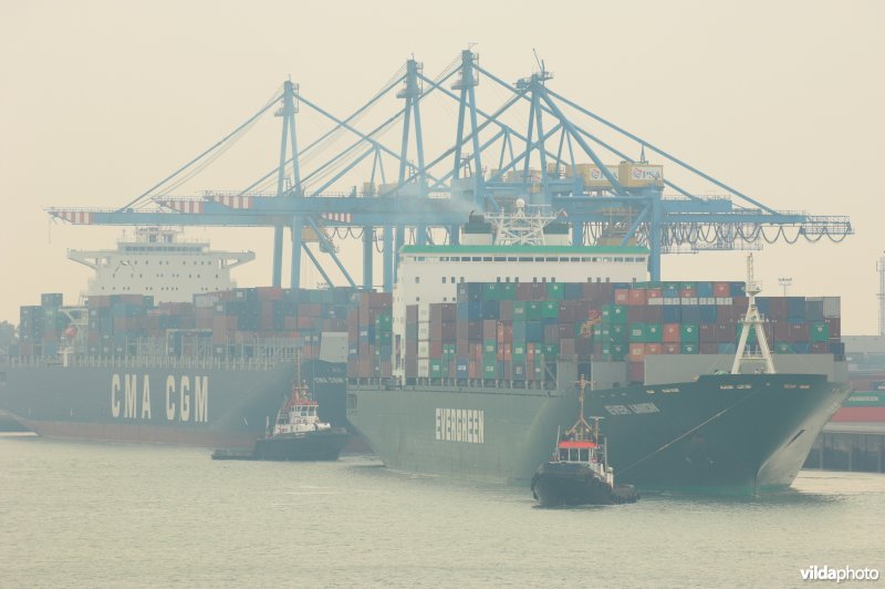 Containerschip in Zeebrugge